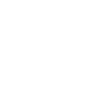 LazyCrocodile's emblem