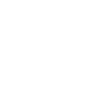 Leon1kenodi's emblem