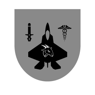 Ronnin1313's emblem