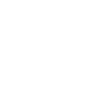 HiFi-PP's emblem