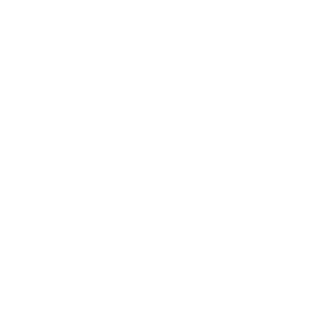 litespeedy's emblem