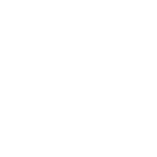 SaRtaNiC's emblem