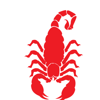 NahuelMance's emblem