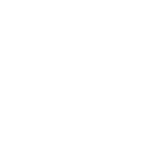 HackerBonzo88's emblem