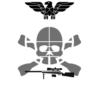 RSTA Squadron's emblem