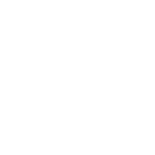 HannesP32's emblem