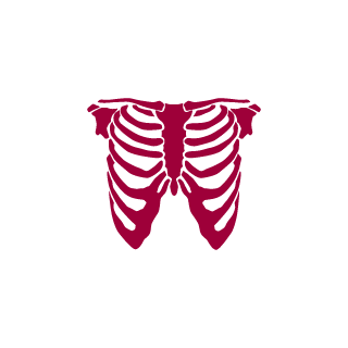 Vsadnik155's emblem