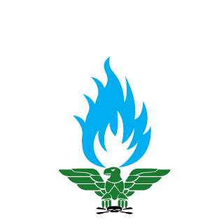 rafaelbrsampaio's emblem