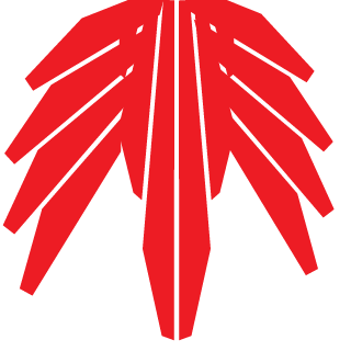 DDSR SOULREAVER's emblem