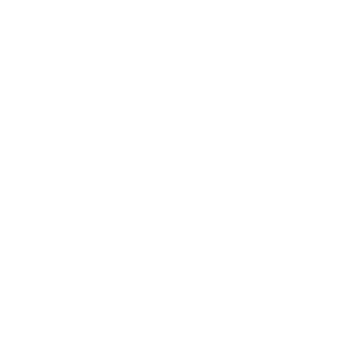 nice_toast_bro's emblem
