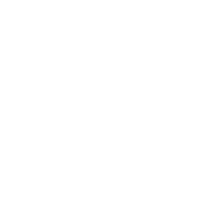 Neytron4IK's emblem