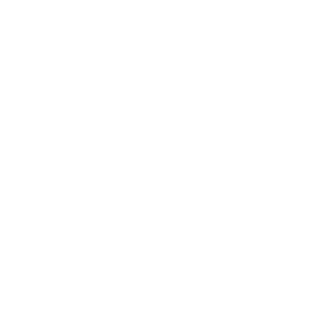 BornIn29th's emblem