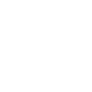 joaopedro1794's emblem