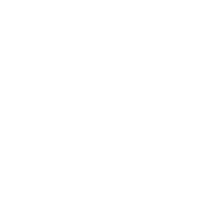 RespawnFasterr's emblem
