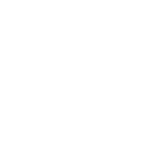 StupidKnight669's emblem