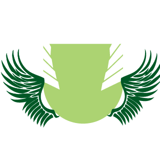 skillfighter1's emblem