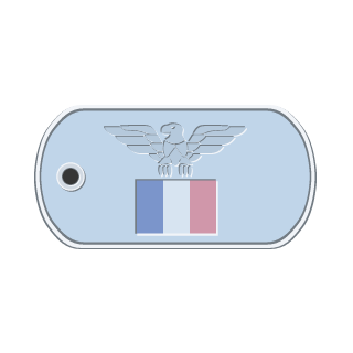 iRaZeR-91's emblem