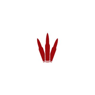 InYourFaceAgain's emblem