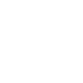 Spb_kot's emblem