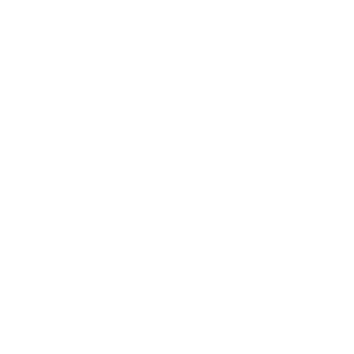 bellnabex's emblem