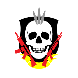 NapoleonStar's emblem