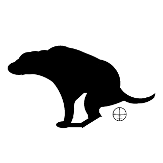 ROOKIE12A's emblem