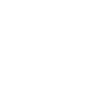 Dezmon12's emblem