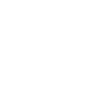 extecute's emblem