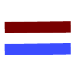 Team Revolution's emblem