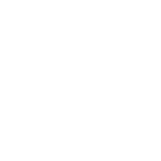 HappyBirthDAY111's emblem