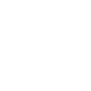 chandiii's emblem