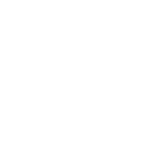 ShredderX98's emblem