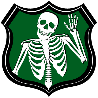19EmVi91's emblem