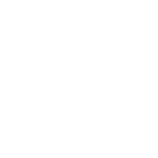 GOE85's emblem