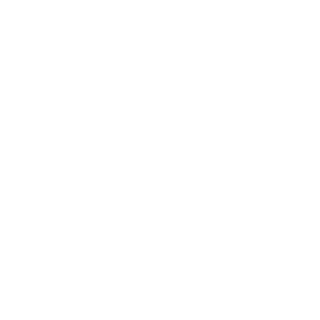 IAMSWIFT11's emblem