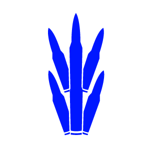 SlamminBarbells's emblem