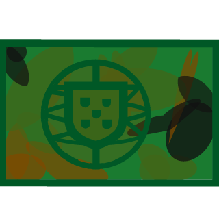 TiagoTerenasAS's emblem