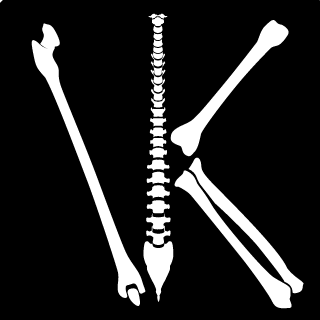 V0nK13l's emblem
