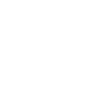 noodlewakko666's emblem