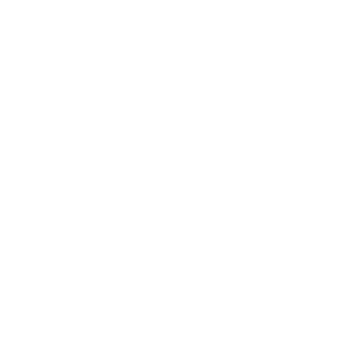 RideLightning001's emblem