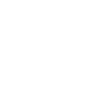 xiaoniaofei's emblem