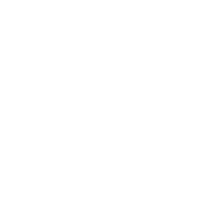 1ASPI's emblem