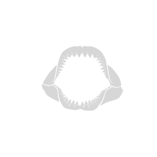 3laderunner's emblem