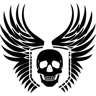 THE_TRUE_ANOMALY's emblem