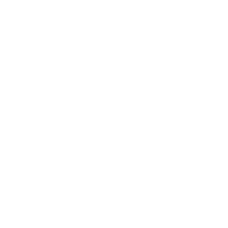 syank_nf's emblem