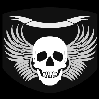 JakeSLS's emblem