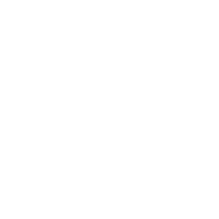 BeerSultan's emblem