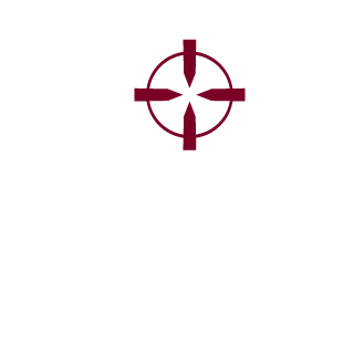 Everskyz's emblem