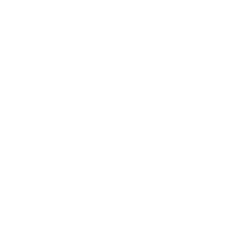 luiz19br's emblem