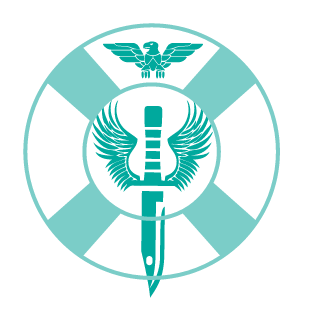 Fixer_Warrior's emblem
